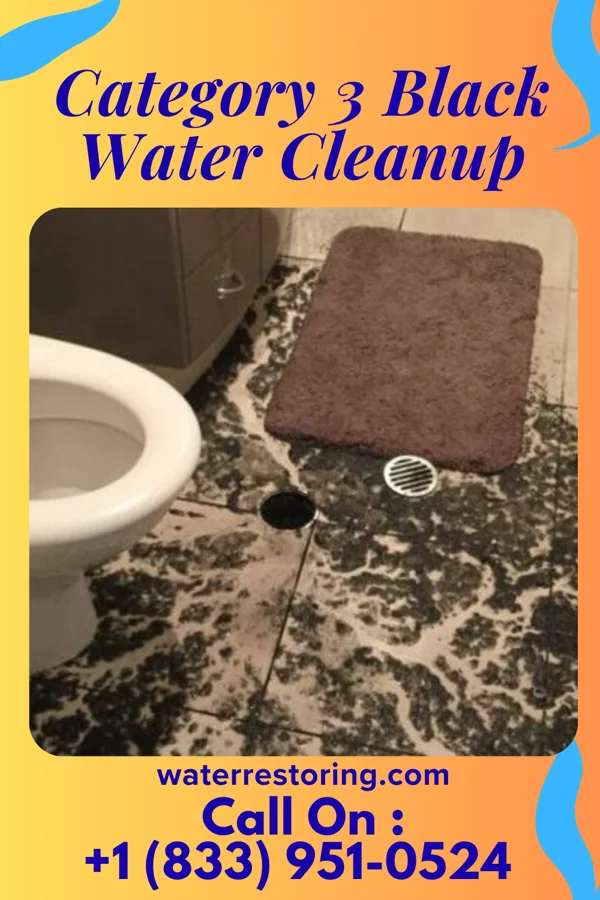 Category 3 Black Water Cleanup in Jefferson, NC