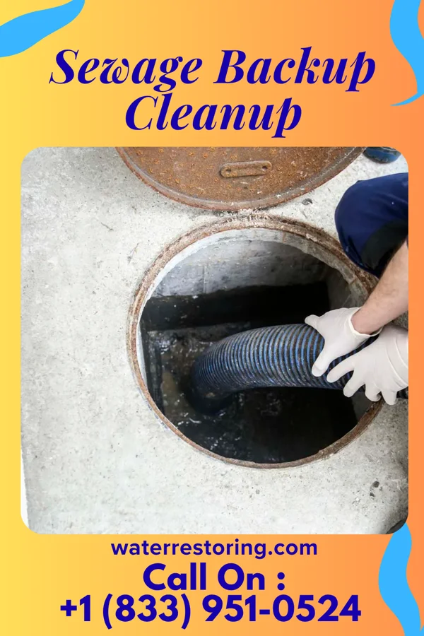 Sewage Backup Cleanup in Jefferson, NC